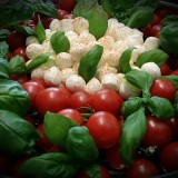 party-eventservice-tomate-mozarella